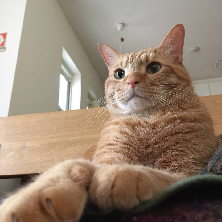 9cd112cb 2842 4f01 a93e 0392dd7ceb49 1590627279927