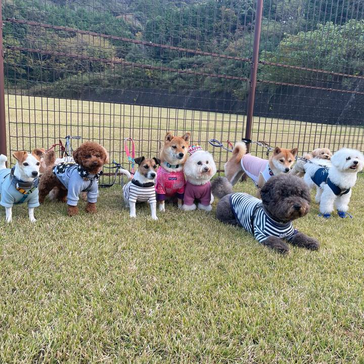 9cd1e8e1 639d 42b0 961d 986999153212 1667995589657