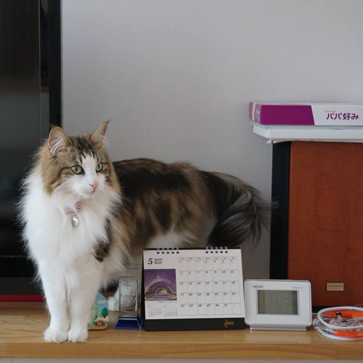 9cd1f206 0b42 4405 9cd6 ce7de15c98ec 1557572151490