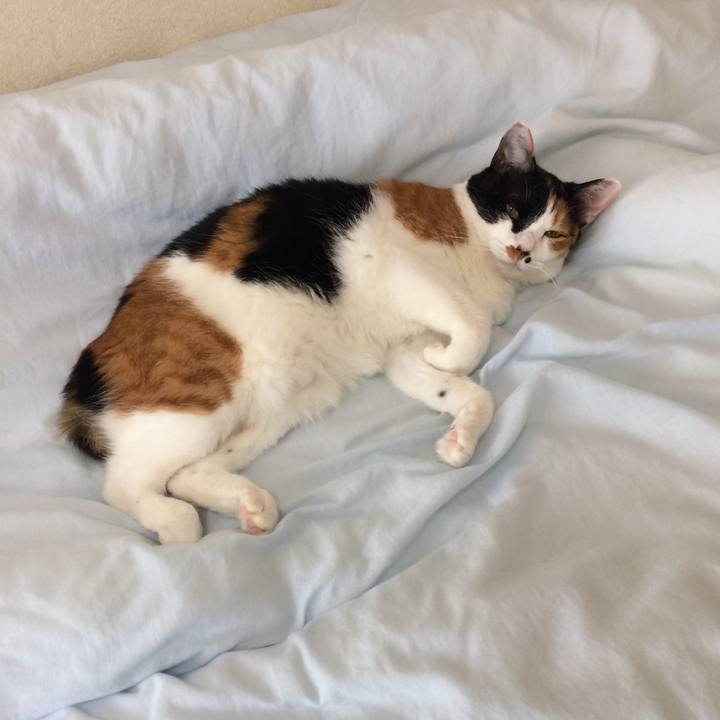 9cd209d1 0a3c 431d a524 4f03e0537193 1587956971178