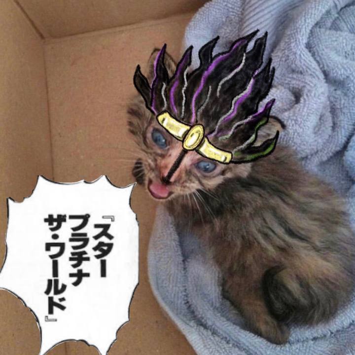 9cd21a0a 1227 40c5 99f3 19c047688e09 1590540984891