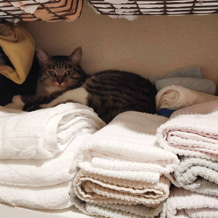 9cd226cf 226d 4532 a274 ee6af7d1c95e 1664697845297