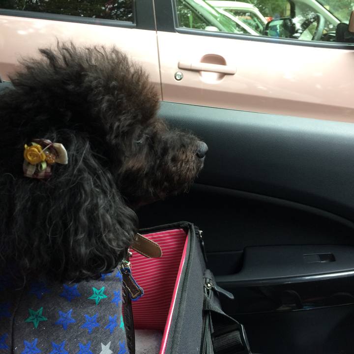 9cd23e82 1168 40a9 9e3b a9c0bcb5bcc3 1540285141146