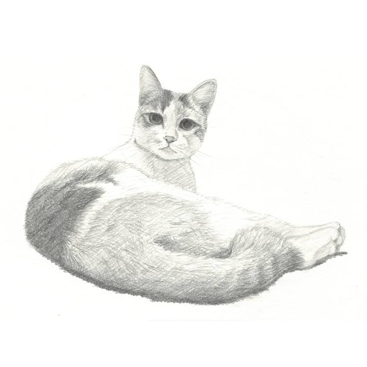 9cd249cf b29f 4186 9a2e 25190c655328 1538914500099