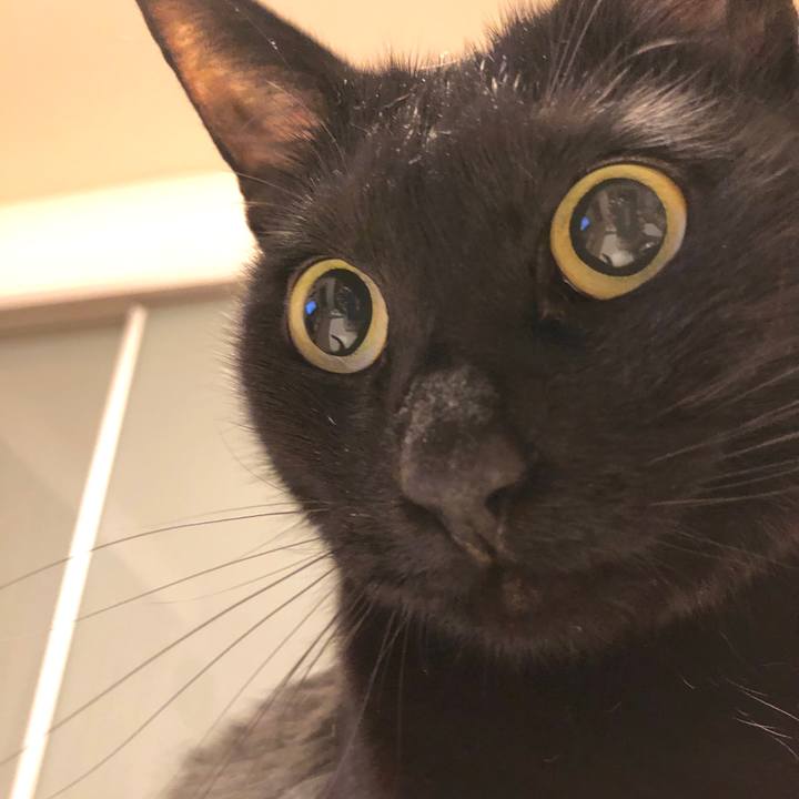 9cd271ba 2562 4773 9b57 34ce8bca9aa0 1584195745241