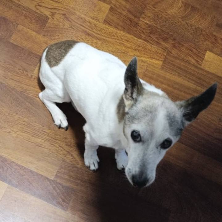 9cd28639 1ec7 4b2d 8aa2 b3650073b202 1762503336650