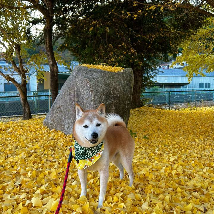 9cd28b35 d32c 4d92 b279 d28e8f08b8c8 1763376296114