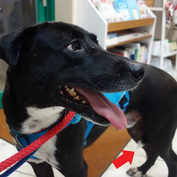 9cd2c2ab 8beb 4f02 8c0c 3272aa27cd70 1605955907516