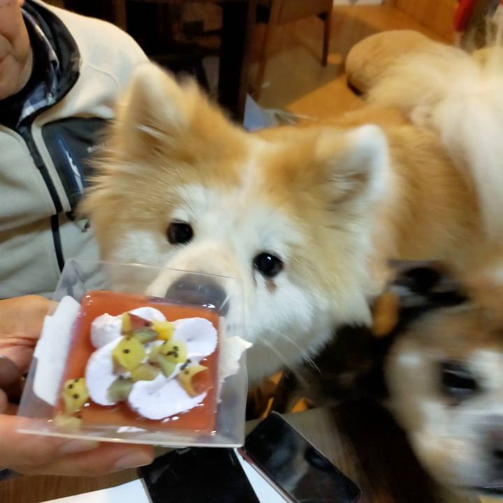 9cd32dd9 cbd9 443a a5c4 b94923bb4057 1667054201353