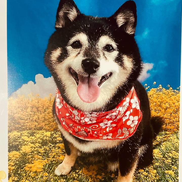 9cd39db9 cca7 4b10 ab3c a10c4a454af4 1774758358014