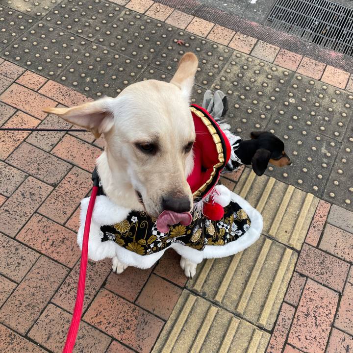 9cd3c6bc 7892 471a 858e 32b0f08f9ff6 1640662629345