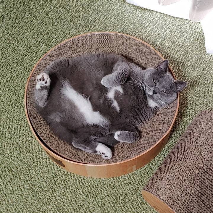 9cd3c9a7 09ce 4d25 b4cd 3edb4e191c1f 1645315578173