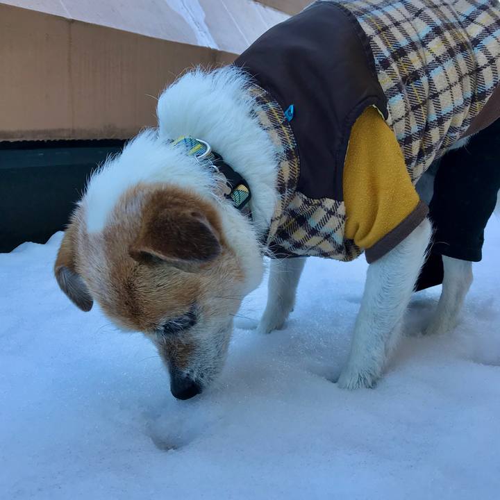 9cd3d12a b99e 423c 8017 50a9a2c16930 1644550529957