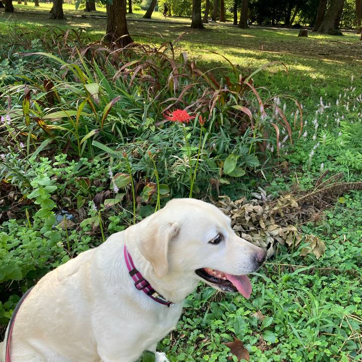 9cd3d9d6 3fad 431d ac12 370e2b90e7d3 1726753101335