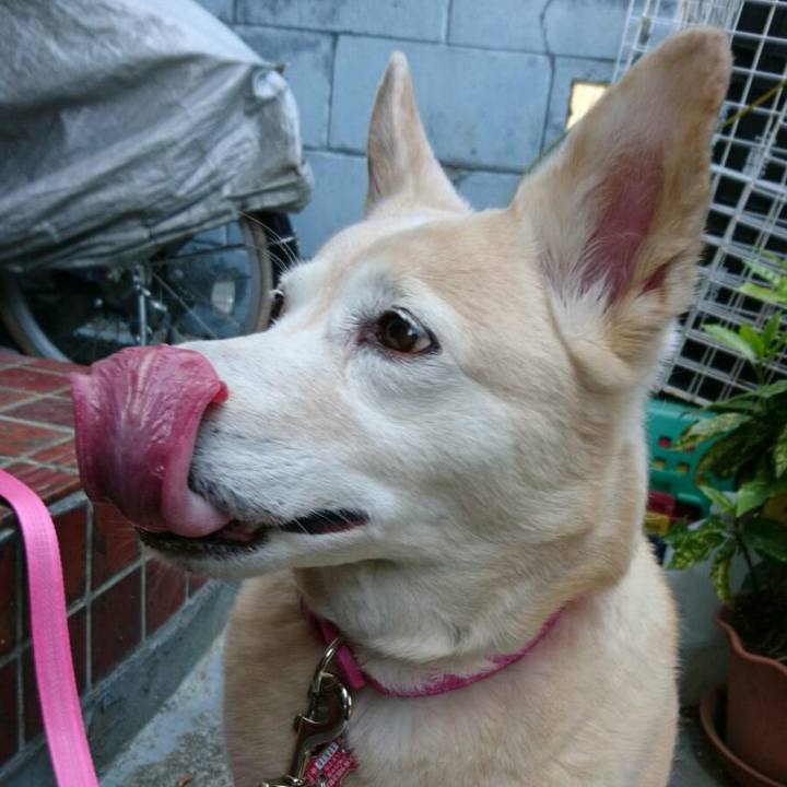 9cd3e784 5b07 4404 8129 a737a7f1d7c7 1524636546689