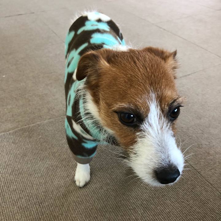 9cd4404e 14a0 4cf9 8068 d99762b9f739 1515818151200