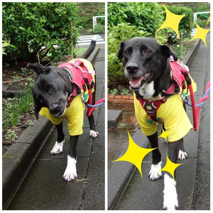 9cd44c4c 9354 4d2a b9a9 0aa22ca869ec 1629075092800