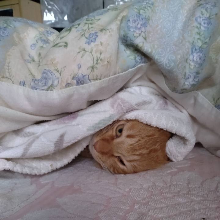 9cd452b8 90e0 49a3 a98f fb32813e9a33 1704333972142