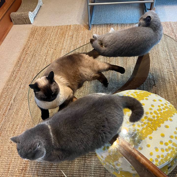 9cd47373 ecc8 429b adb9 b285207119c0 1689164167873