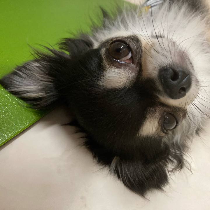 9cd4af42 9014 4415 baba 290b296dd897 1654349305368