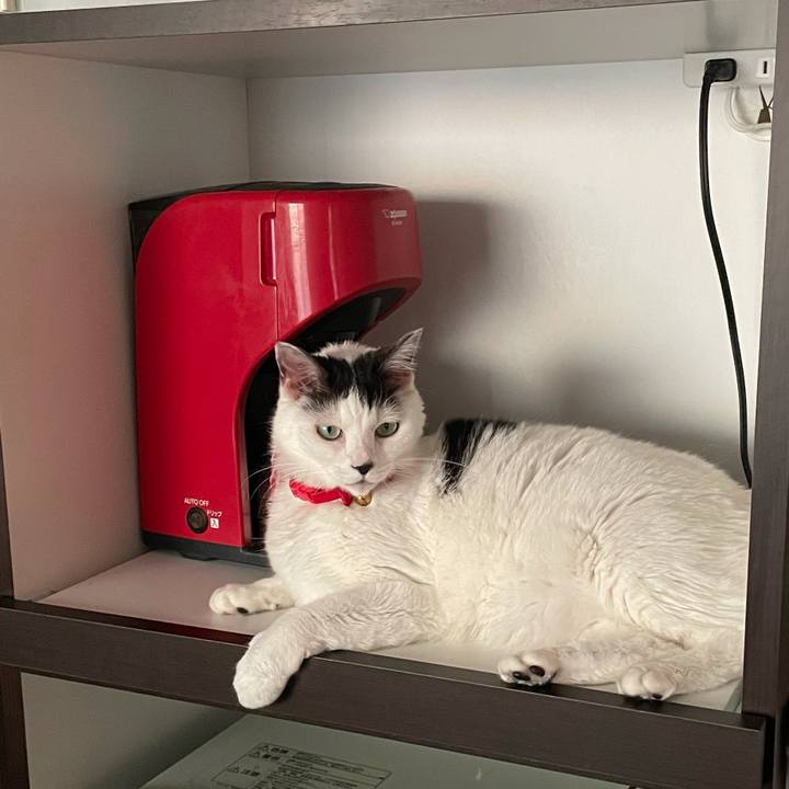 9cd4c898 7920 4428 b080 1f9413c98283 1621762986094