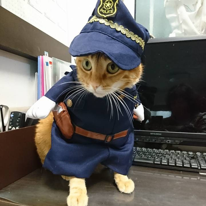 9cd4efce 0f52 43e1 a7ee 3632557f67e6 1544829419229