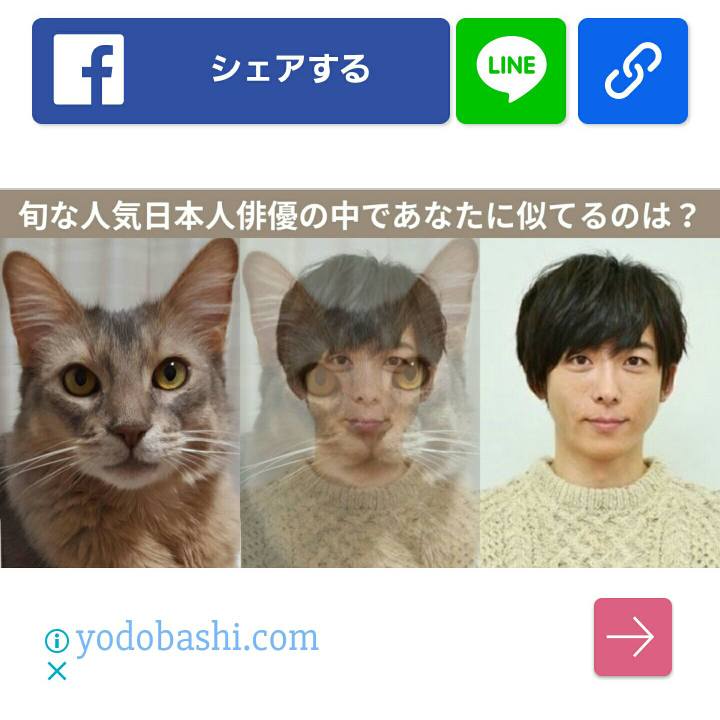 9cd5289d 0e6e 4a7e 8ed4 c1f7ed22e560 1528465042731