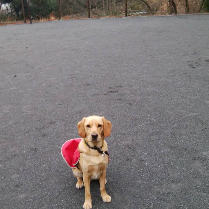 9cd53ea9 27f7 4f3e b880 cf2eb0137699 1520464085365