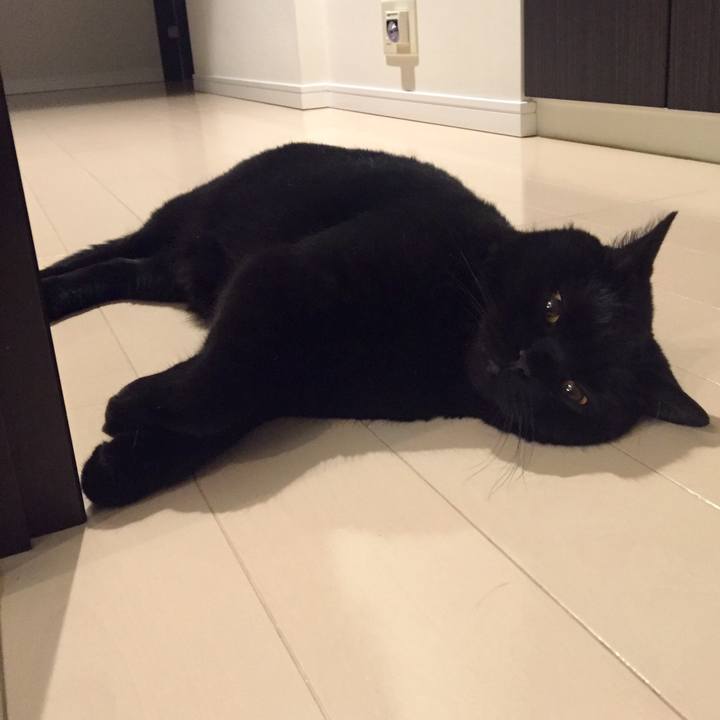 9cd541e4 4f64 4c6a 8b0a 68bb0b3002ed 1591791223662