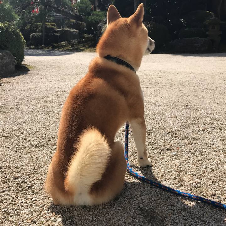 9cd54e8a dc86 493b b854 2ea7650063d5 1520131612993