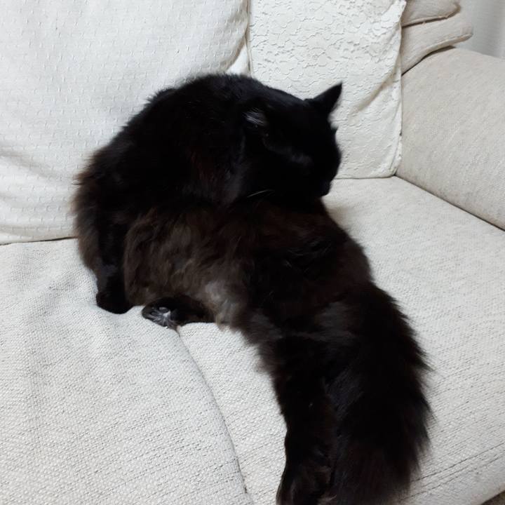 9cd5731b 78db 472b b8ed fbd8bdf1b407 1516907879731