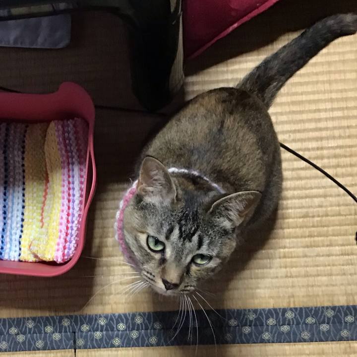 9cd58bf1 b1e2 4301 8c74 05c04b1e1a0e 1626421321670