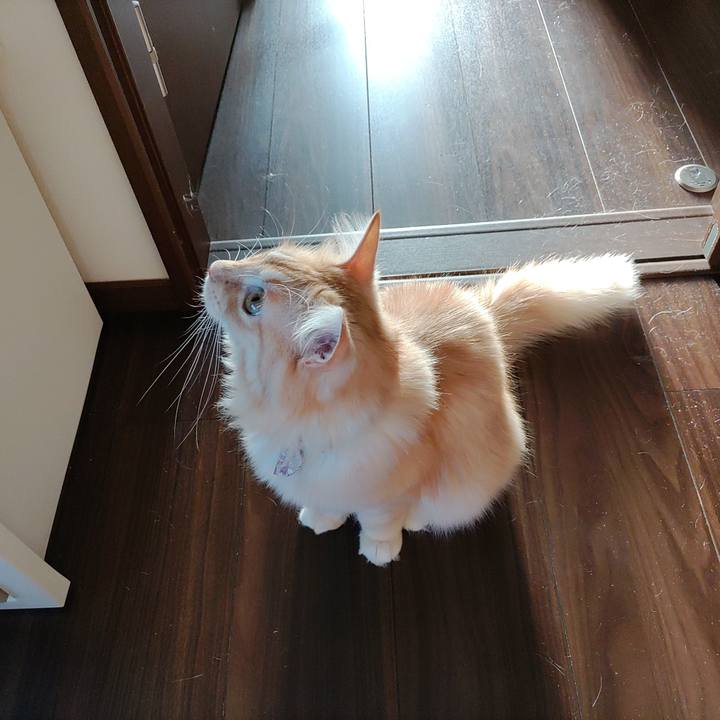 9cd58da8 770c 40bf 8885 95a87c6a1882 1663279892697