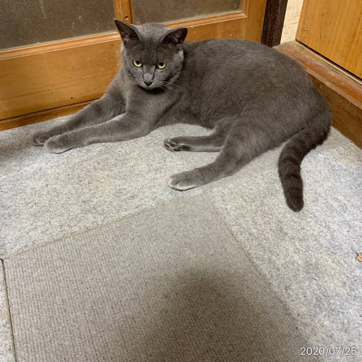 9cd59f10 e0b4 4ec8 982d 6806fd135706 1595674318895