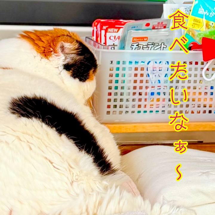 9cd5af90 e1f6 4643 a141 bf7f77024865 1737758800111