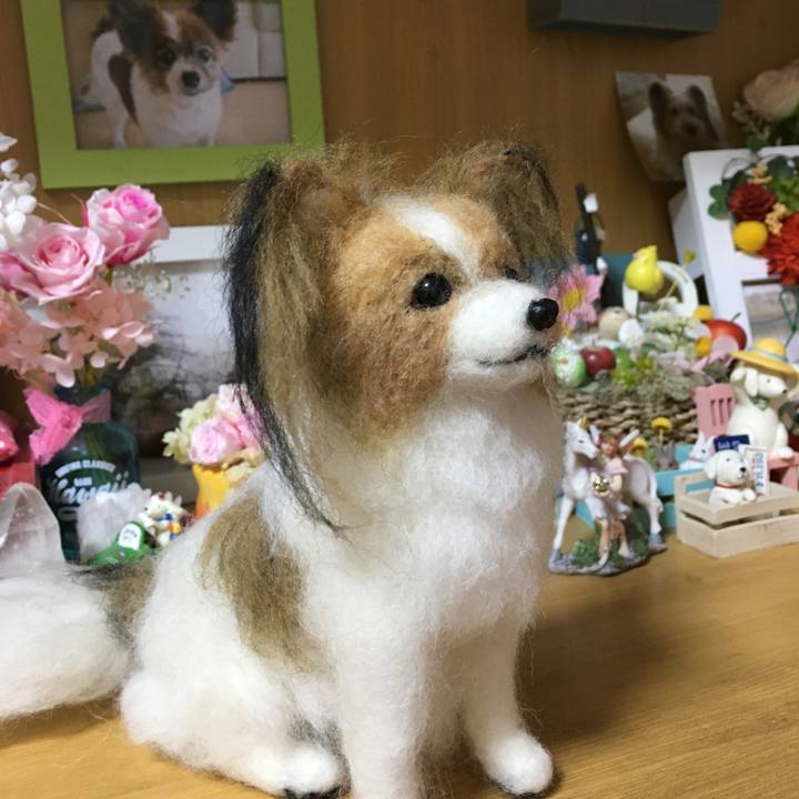 9cd5b9a2 be82 4cc4 b6fd b7b356a7bc85 1551783621828