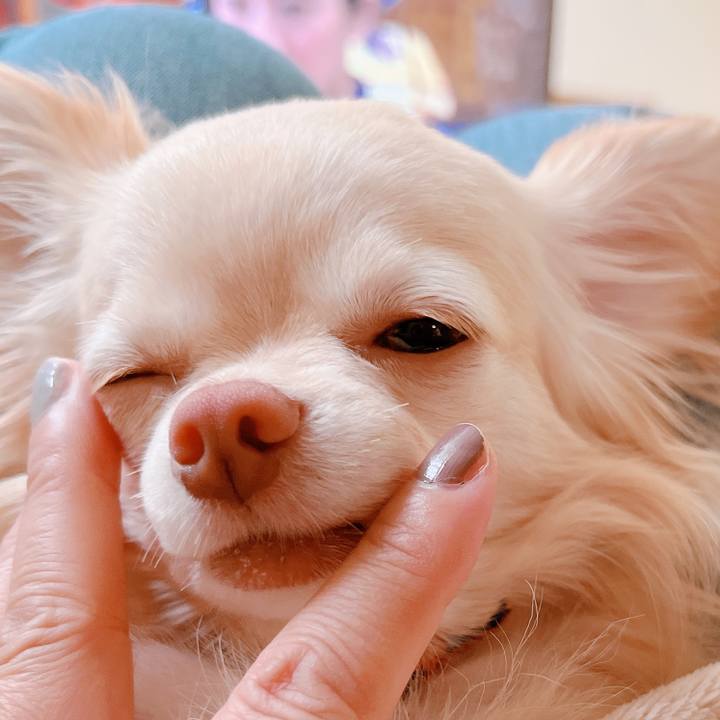 9cd5eac5 f726 4ac0 9c77 45bbe07d3b8a 1654910917493