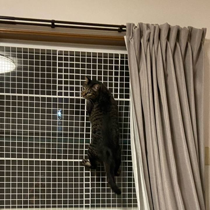 9cd65e35 2227 437f b292 6b276b5e4a83 1686052131534