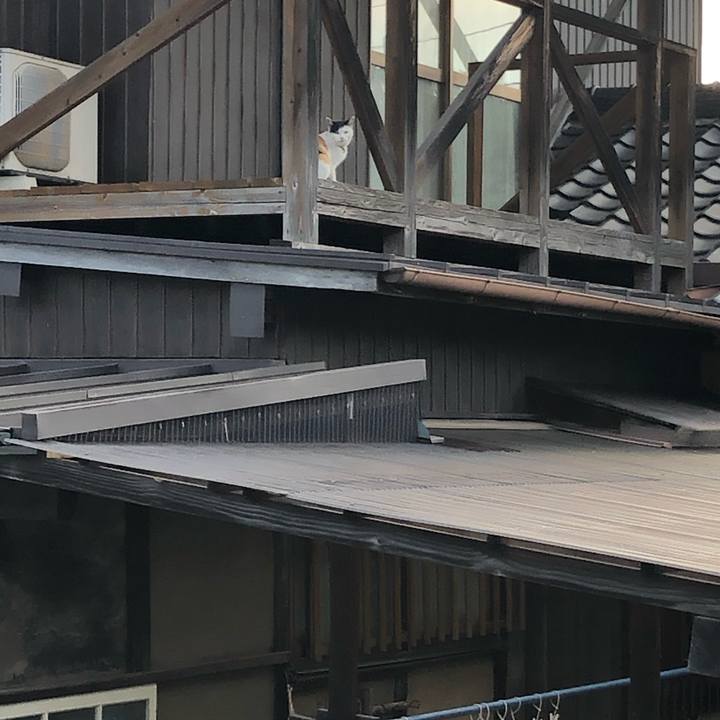 9cd66cca 39af 4f56 afe5 e6f4a321cdee 1607213187910