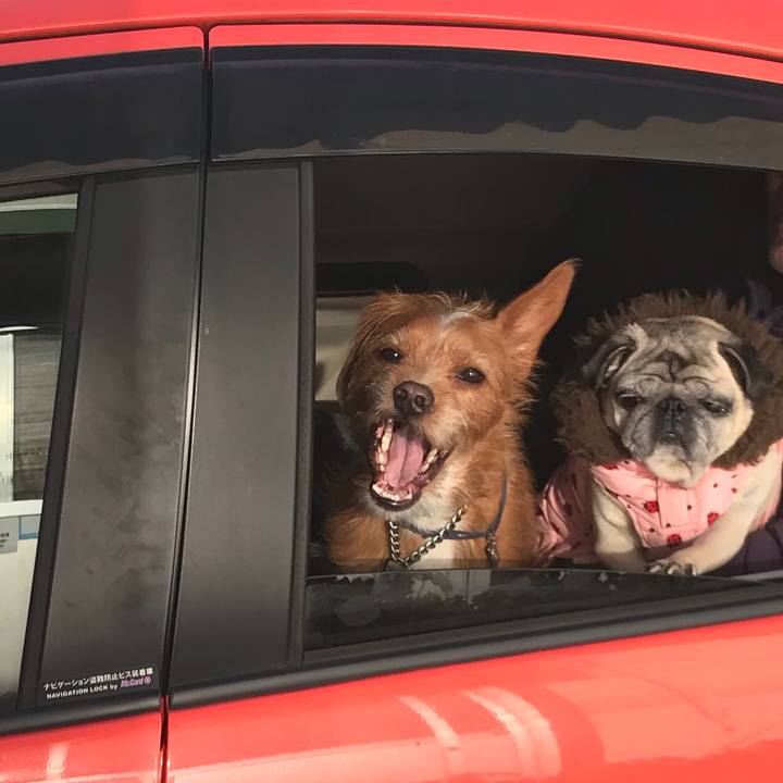 9cd69b84 1663 4393 bb66 63909ff68380 1578144895624