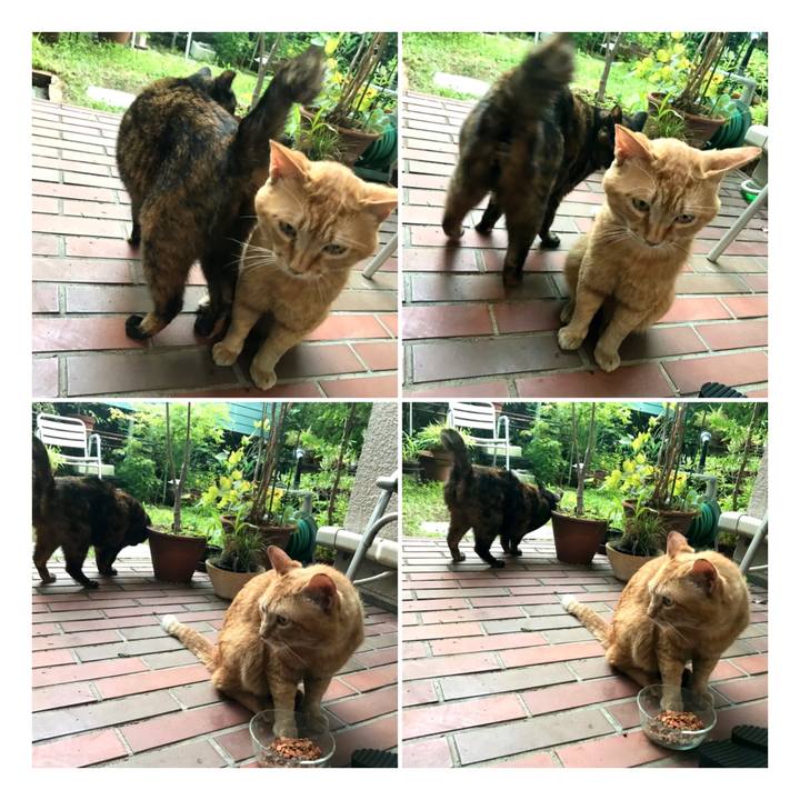 9cd708f8 dcac 4e75 a307 66c55a1e334a 1623829791052