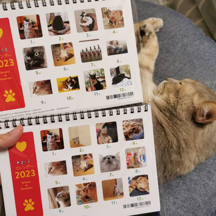 9cd7c417 3092 41b8 92bd 8a9bc81cd68c 1668743532993