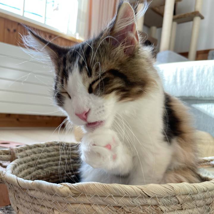 9cd7e907 a891 4562 adc4 88c5f427c535 1634907656225