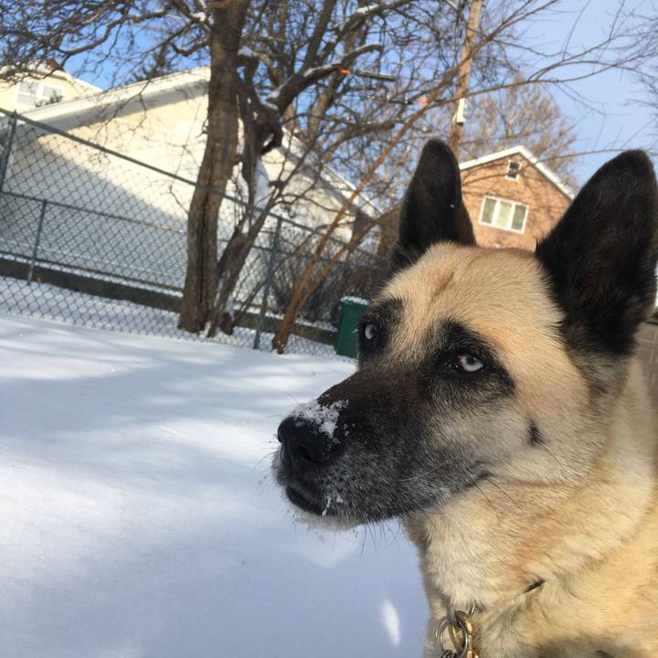 9cd83389 b7d6 455e 80e1 10c96deb86dc 1516147781152