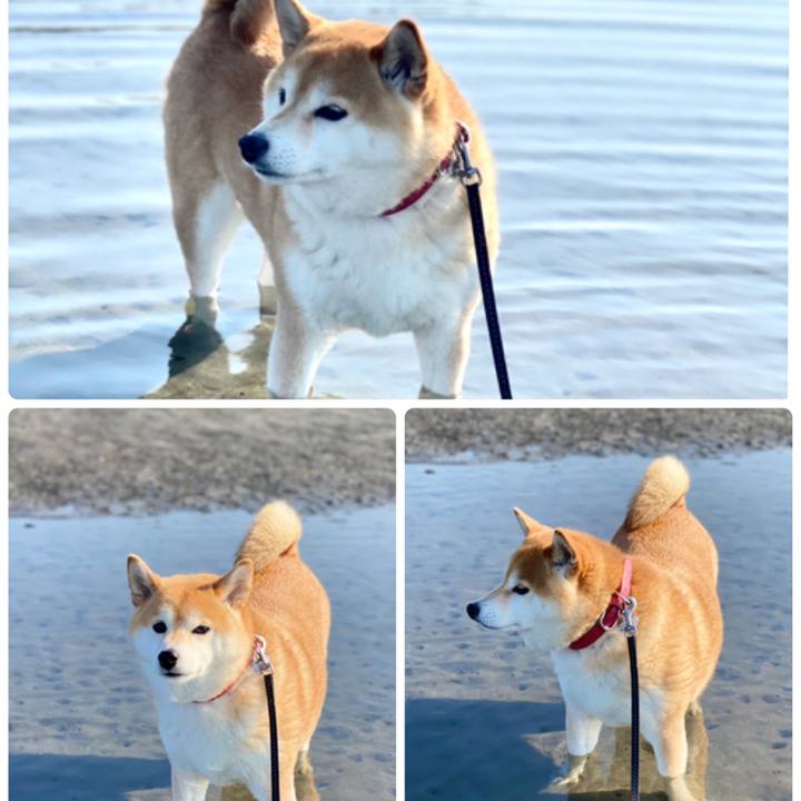 9cd83714 5093 4ec8 a947 239792b25967 1618127433494