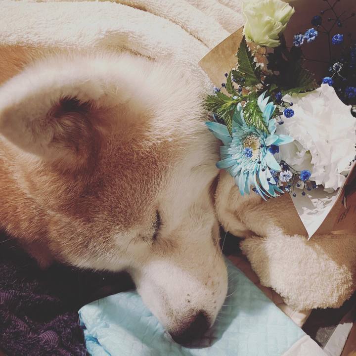 9cd840cd d4bb 44ab a7ac 0ad9414ee33d 1658347446449