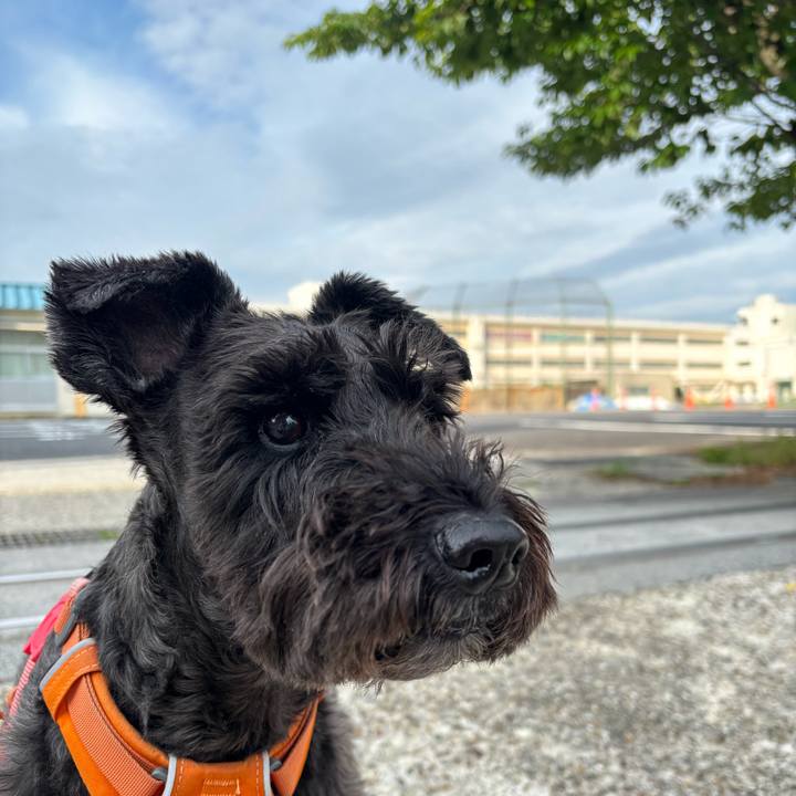 9cd87420 5285 47aa b4bb bba60623d975 1748642447041