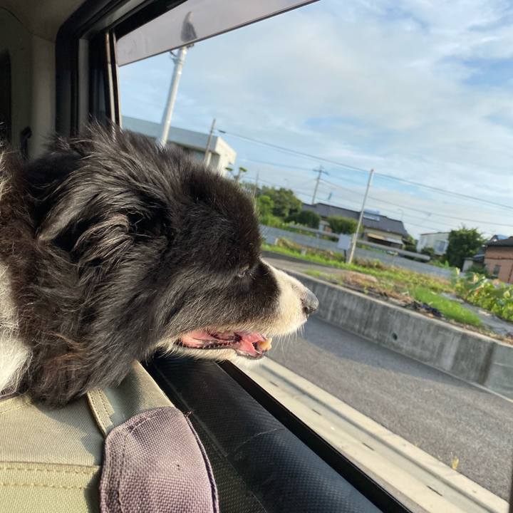 9cd89f2d b20e 403a b8c8 34301dee973d 1691791712043