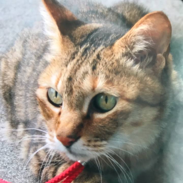 9cd8cca1 dd0c 458b 90d0 63f793b32cd7 1565671975913