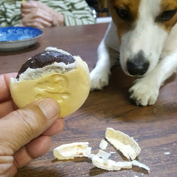 9cd94442 35d4 4f06 9155 2599b8111860 1570786991125